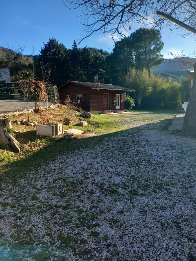 Petit Chalet En Bois Reynes Экстерьер фото